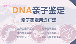 重庆正规的亲子鉴定检验中心在哪里，重庆正规的亲子鉴定机构大概收费