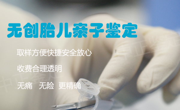 重庆怀孕需要怎么办理DNA鉴定,重庆胎儿亲子鉴定具体流程
