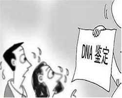 重庆升学亲子鉴定机构在哪里