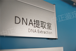 重庆匿名DNA亲子鉴定多少费用，重庆隐私DNA亲子鉴定的流程