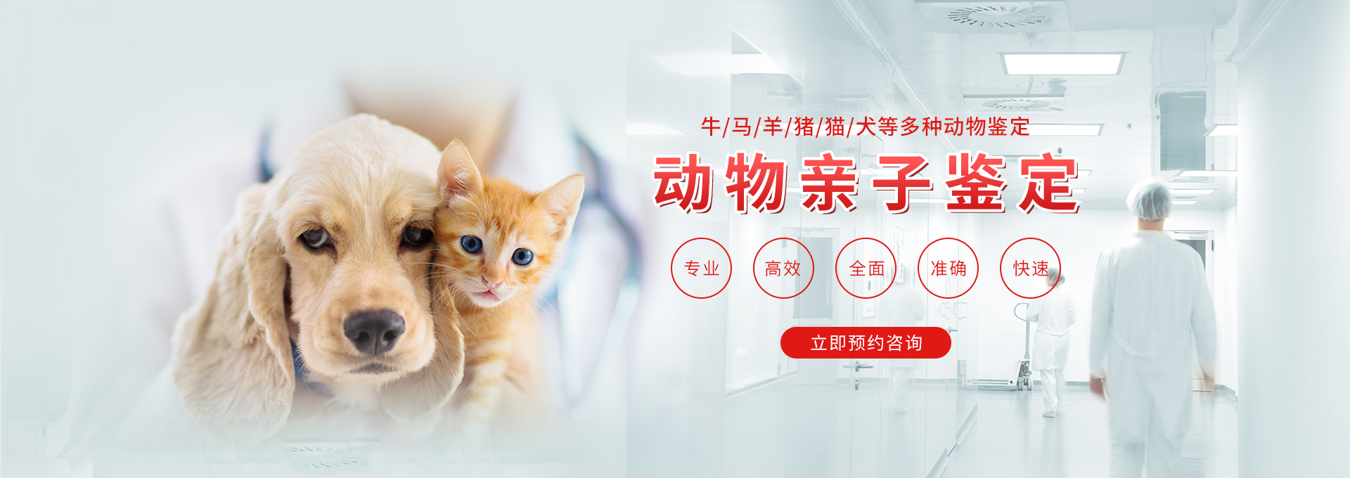 重庆动物鉴定
